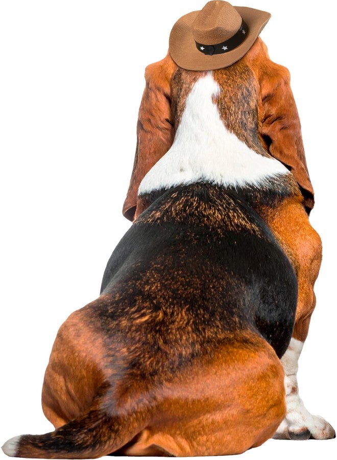 روبيز قبعة روبيز كاوبوي للحيوانات الأليفة، للكلاب أو القطط، مقاس صغير/متوسط - Image 4